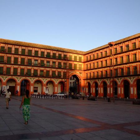 Nuevo Loft Centrico Parking Gratuito Lägenhet Córdoba Exteriör bild